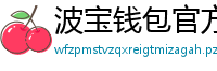 波宝钱包官方安装包